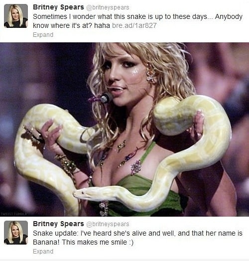 Britney, mujer  preocupada por los animales.